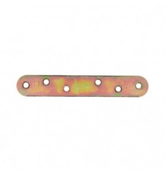 AMIG 7356  
 Placa 2  
 117 x 19 x 2 mm  
 Acero  
 Bicromatado