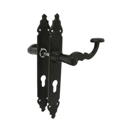 AMIG 7816  
 Manilla con placa 100PB  
 280 x 44 mm  
 Placa de acero, Tirador de zamak  
 Negro