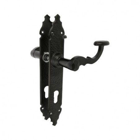 AMIG 7817  
 Manilla con placa 100PB  
 280 x 44 mm  
 Placa de acero, Tirador de zamak  
 Negro