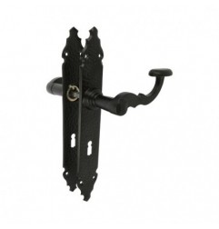 AMIG 7818  
 Manilla con placa 100PG  
 280 x 44 mm  
 Placa de acero, Tirador de zamak  
 Negro