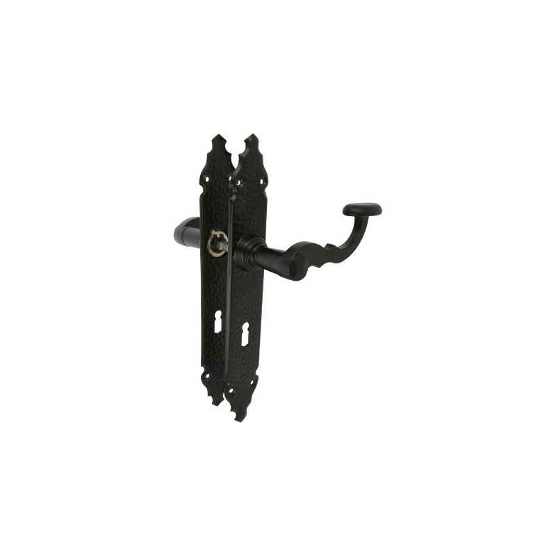 AMIG 7818  
 Manilla con placa 100PG  
 280 x 44 mm  
 Placa de acero, Tirador de zamak  
 Negro