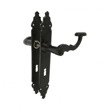 AMIG 7818  
 Manilla con placa 100PG  
 280 x 44 mm  
 Placa de acero, Tirador de zamak  
 Negro