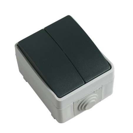 AMIG 8462  
 Interruptor doble estanco IP54 3622  
 90 x 65 x 52 mm  
 Policarbonato  
 Gris