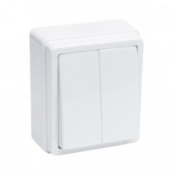 AMIG 8919  
 Conmutador doble sobreponer 3812  
 Polipropileno  
 Blanco
