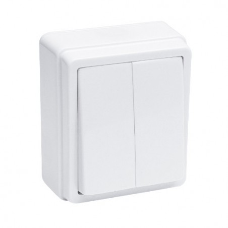 AMIG 8919  
 Conmutador doble sobreponer 3812  
 Polipropileno  
 Blanco