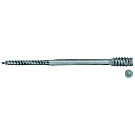 ASL 6 x 80 fischer: 59061