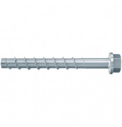 FBS II 14x125 60/40/10 US - 10C fischer: 536877