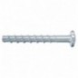 FBS II 6x30/5 P - 100C fischer: 546377
