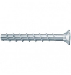 FBS II 6x80/25 SK - 100C fischer: 546385