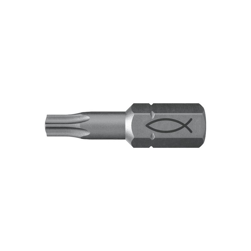PUNTAS FPB T15 PROFI Bit W 10U fischer: 557846