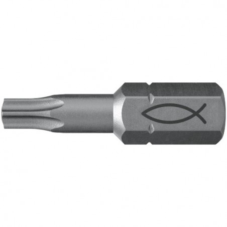 PUNTAS FPB T15 PROFI Bit W 10U fischer: 557846