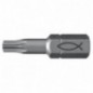 PUNTAS FPB T15 PROFI Bit W 10U fischer: 557846