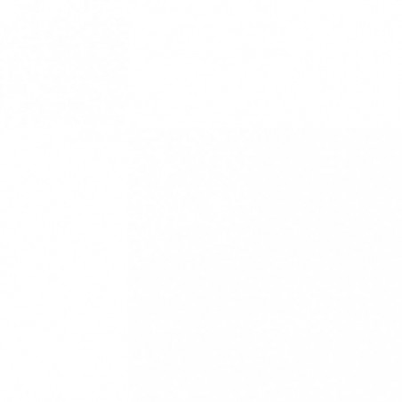 PINTURA BIOLUX MATE BLANCO INT/EXT. 15L