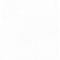 PINTURA BIOLUX MATE BLANCO INT/EXT. 15L