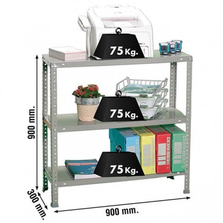 ADVANTAGE 3/300 GRIS