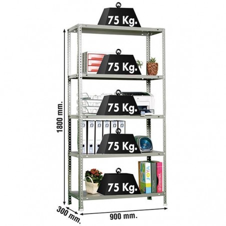 ADVANTAGE 5/300 GRIS