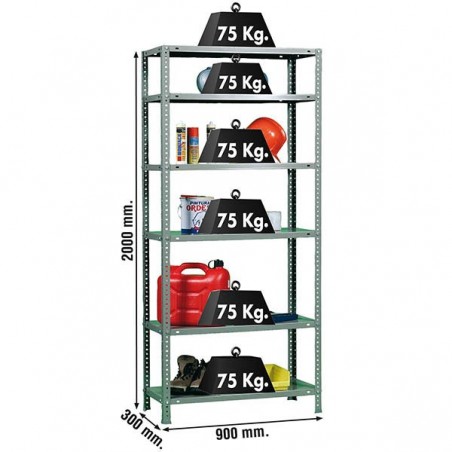 ADVANTAGE 6/300 GRIS