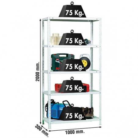 ADVANTAGE PLUS 5/300 BLANCO