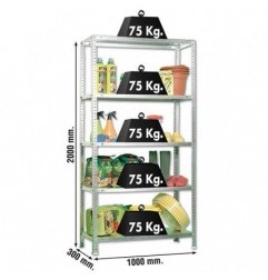 ADVANTAGE PLUS 5/300 GALVANIZADO
