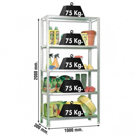 ADVANTAGE PLUS 5/300 GALVANIZADO
