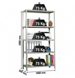 ADVANTAGE PLUS 5/300 GRIS