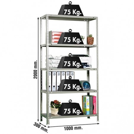 ADVANTAGE PLUS 5/300 GRIS