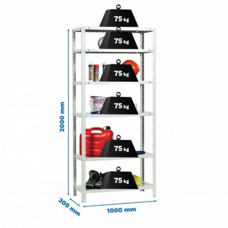 ADVANTAGE PLUS 6/300 BLANCO