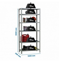 ADVANTAGE PLUS 6/300 GALVANIZADO