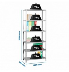 ADVANTAGE PLUS 6/300 GRIS