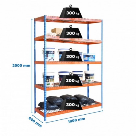 ECOFORTE 1806-5 REX AZUL/NARANJA