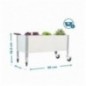 SIMONGARDEN URBAN MOB. 900x600 GRIS/GAL