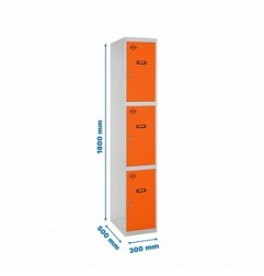 SIMONLOCKER PROF.DISM.3 PUERTA 1/3 300 IN GR/NA