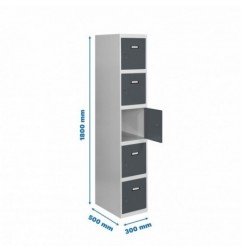 SIMONLOCKER PROF.DISM.5 PUERTA 1/5 300 IN GR/AN
