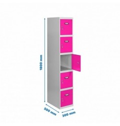 SIMONLOCKER PROF.DISM.5 PUERTA 1/5 300 IN GR/RS