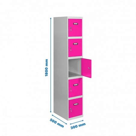 SIMONLOCKER PROF.DISM.5 PUERTA 1/5 300 IN GR/RS