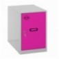 SIMONLOCKER DISM. MINI 475x300x500 mm GR/ROS