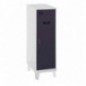 SIMONLOCKER DISM.SINGLE MINI 915x300x500+PIES G/AN