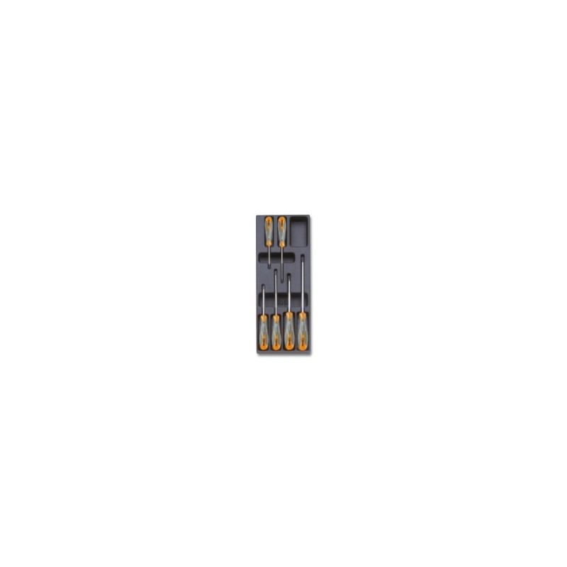T172 Termoformado rígido con destornilladores Phillips&reg,, BetaMax