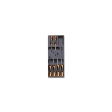 T202 Termoformado rígido con destornilladores Phillips&reg,, BetaGrip