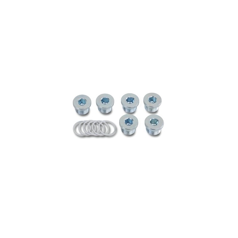 1495T M17X1,50 Kit de 6 tapones de aceite y arandelas