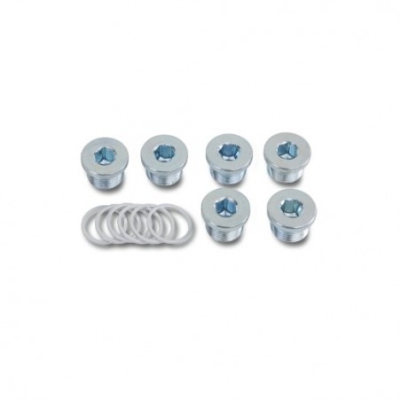 1495T M17X1,50 Kit de 6 tapones de aceite y arandelas