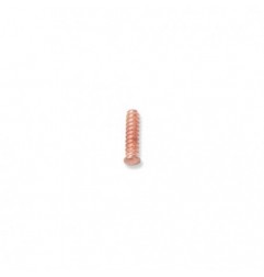 1366S/R7 100 pernos autorroscantes 5x18 mm