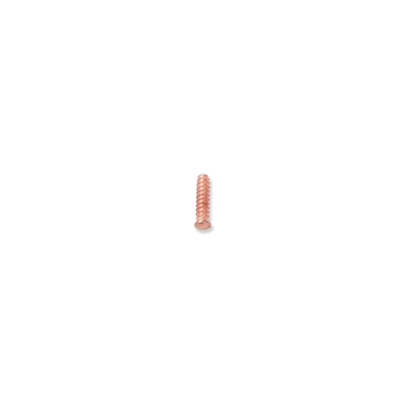 1366S/R7 100 pernos autorroscantes 5x18 mm