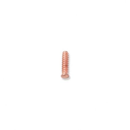 1366S/R7 100 pernos autorroscantes 5x18 mm