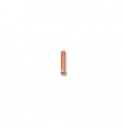 1366S/R8 100 pernos autorroscantes 5x25 mm