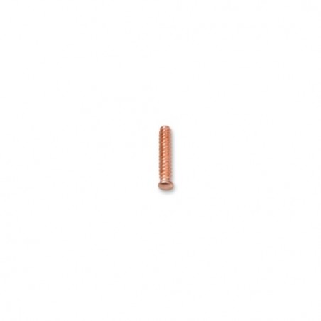 1366S/R8 100 pernos autorroscantes 5x25 mm