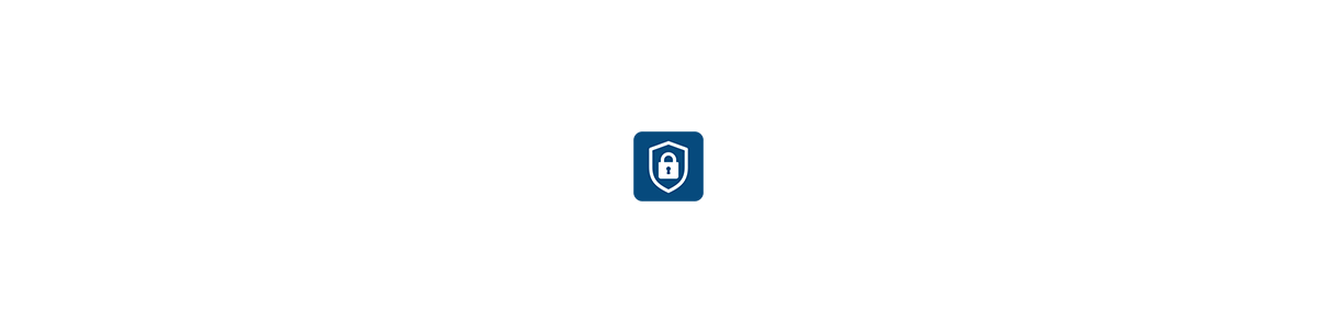 SEGURIDAD