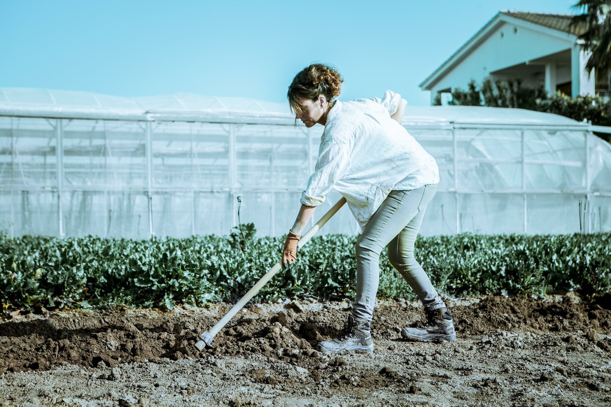 PREPARACIÓN DEL TERRENO